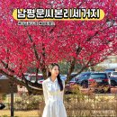 인흥길 | 대구 꽃구경 매화명소 남평문씨본리세거지 실시간 개화상황