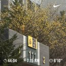 파리바게트 민락제일점 | 나 진짜 좋은날 결혼했구나 ! 💍