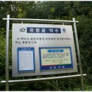 유왕골약수 이미지