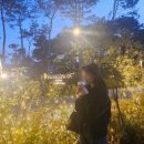 멤버쉽풀 | 파라스파라 프라나오너스♡ 파인하우스, 인피니티풀, 멤버십라운지 와인아워 후기!