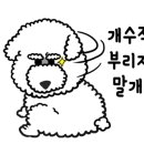 엄지족발 이미지