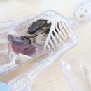 과학이 놀이랑 만날 때 이미지