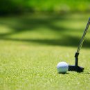 스타골프클럽 이미지