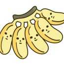 새보화어린이집 이미지