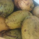 김천두메숲골힐링마을 영농조합법인 이미지