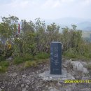 2011년5월10일 해남 별매산-가학산-흑석산(대아 수목원으로 대체함) 이미지