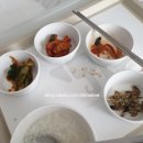 하나이빈후과의원 네이버블로그