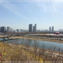 매화1공원 이미지