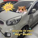 헤이딜러 제로 모닝 중고차 판매 상세 후기/절차 및 서류 정보/자동차세 환급 자동차보험 환급 신청 방법