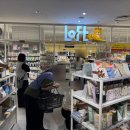 을지3구역 지하상가 | [후쿠오카여행] 후쿠오카 텐진 쇼핑 미나텐진 로프트(LOFT), 세리아 / 텐진 지하상가 산리오, 살루트