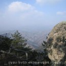 엑스포아구 Daum카페