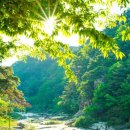 산수화펜션 - 상주시 청화로 45 | 산수화펜션