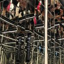 혼자 11박 12일 자유여행 경비 및 코스 추천_Day4 : 써밋 전망대, 웨스트빌리지, 구겐하임 미술관 후기