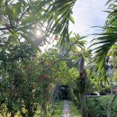 110 투 노래연습장 | 26' 3월 발리 Day 2 (Pranava Yoga, Nourish, 티켓투더문, 하얏트 리젠시, Kaiia Spa, Massimo 젤라또...