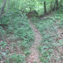 사동회관 이미지