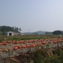 해원민박 이미지