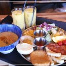 제주벨루가 이미지