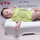 버드시아 이미지