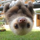 디에이치에너지(주) 이미지