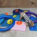 힐링힐링 반려견 교육 유치원 이미지