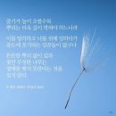 뿌리와열매
