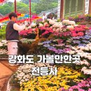 강화도 전등사 방문 후기｜주차장 시간 역사 카페