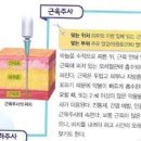 주사를 맞는 데 도움 되는 정보 이미지