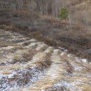 동천농장 이미지