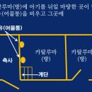 초라한 탄생 (눅 2:1-7) 이미지