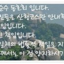 청학사거리(한전) Daum카페