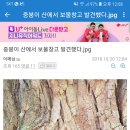 도토리PC 이미지