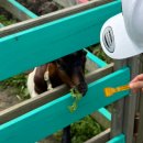 새고개농장 건물 | 다음주에 보자고 해놓고 지금 돌아온 여행 후기