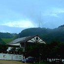 알프스공인중개사사무소 이미지