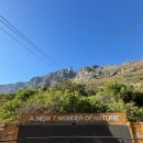 190워터프런트 | DAY] 아프리카 여행 23일차 : 남아공 케이프타운🇳🇦(테이블 마운틴 투어, 와이너리, 워터프런트, OPENWINE)