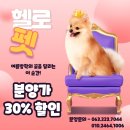 헬로펫 효자점 이미지