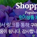 네파롯데영등포