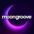 문그루브(moongroove)