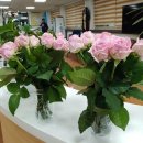 관산읍행정복지센터 이미지