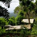 순환의 축복 이미지