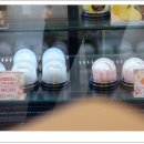 더영규공인번역행정사 이미지