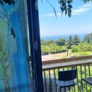 자유로운 사색가 이미지