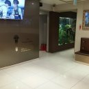 소리야노래연습장 이미지