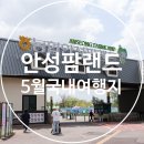 자유센타 농협앞 | 5월 국내 여행지 안성 놀거리 가득한 안성팜랜드