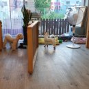 소중한 개 이미지