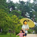 (주)오토오아시스세종점 | 여주 세종대왕릉 영릉 아이와 역사 탐방 주차정보