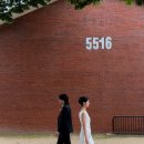 용산공원 아이폰스냅 촬영 후기｜이국적인 감성으로 담은 커플 아이폰 스냅
