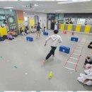 국가대표멘토태권도 이미지