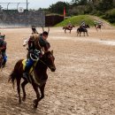 더마파크 이미지