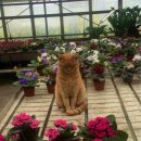 홈스위트홈 이미지