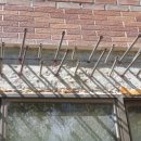 전주인봉초등학교 이미지